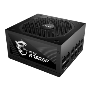 750 Watt MSI