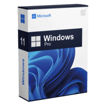 Windows 11 Pro inclusief installatie