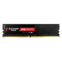 RAIDER GAMING 8GB DDR5-4800