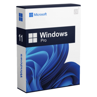 Windows 11 Pro inclusief installatie