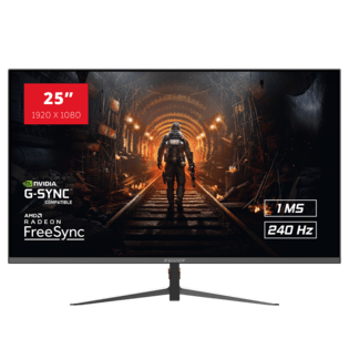 25" RAIDER 240Hz PRO Gaming