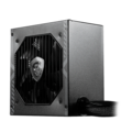 650 Watt MSI