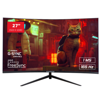 27" RAIDER 165Hz CURVED PRO GAMING