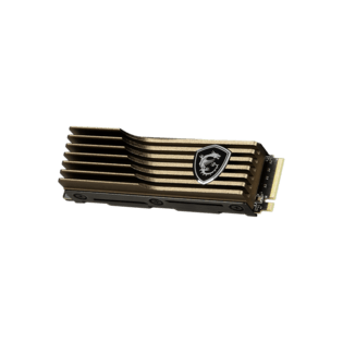 169166935002-msi-spatium-m570-2tb.png.png