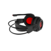 02. MSI-DS502.png