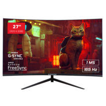 27" RAIDER 165Hz CURVED PRO GAMING