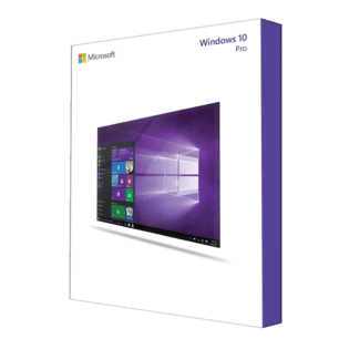 Windows 10 Pro inclusief installatie