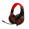 RAIDER HS1 GAMING