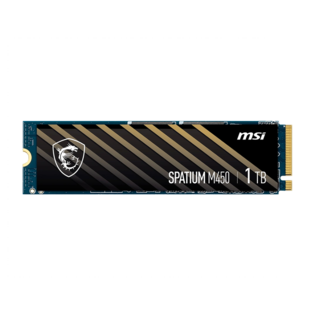 02. MSI-Spatium-M450-1TB_.png