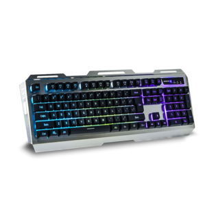 02. Raider-V1-Gaming-Comb.png