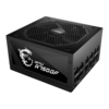 750 Watt MSI