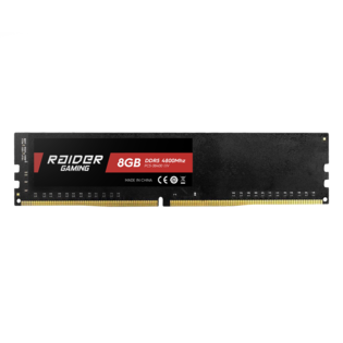RAIDER GAMING 8GB DDR5-4800