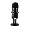 02. MSI-Immerse-GV60-Streaming-Mic.png